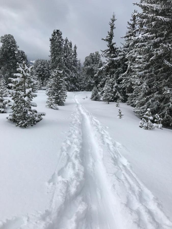 דירות אוץ Alpenblick De Luxe מראה חיצוני תמונה